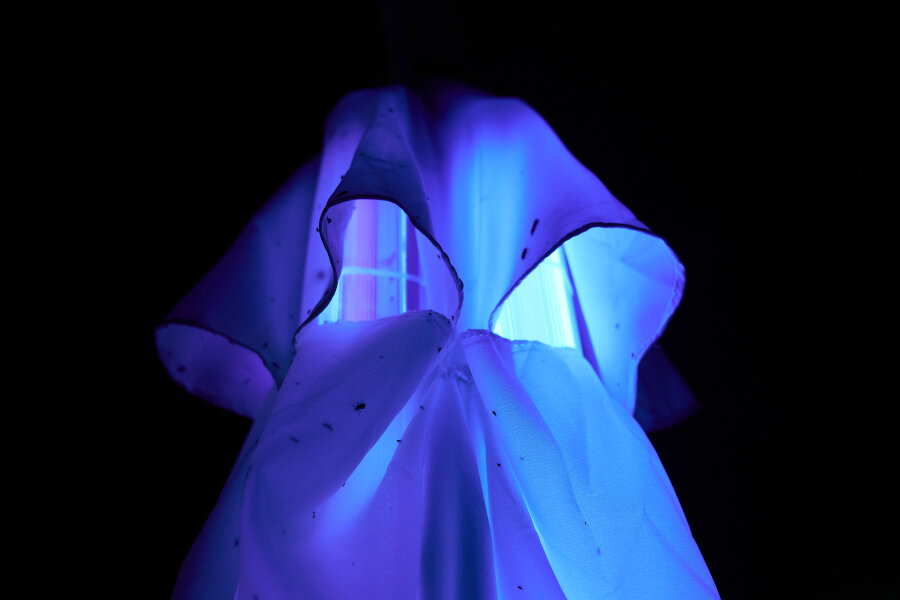 Reinhold Zisser, David Přílučík